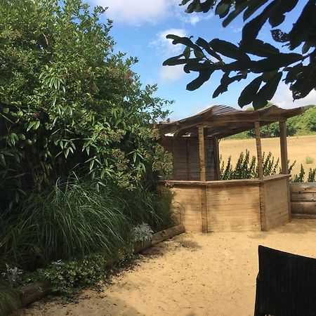 Silver Airstream Glamping & Rental 奇切斯特 外观 照片