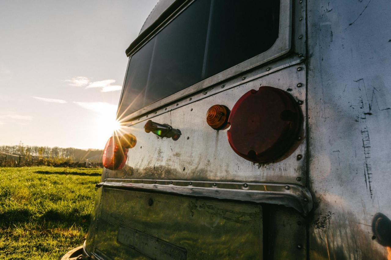 Silver Airstream Glamping & Rental 奇切斯特 外观 照片